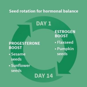 Balance Estrogen and Progesterone with Seed Cycling